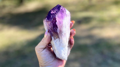 Dragon Tooth Amethyst and Ametrine Quartz Phantom Natural Point