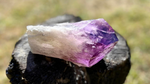 Dragon Tooth Amethyst and Ametrine Quartz Phantom Natural Point