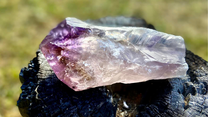 Dragon Tooth Amethyst and Ametrine Quartz Phantom Natural Point