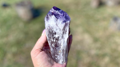Dragon Tooth Amethyst and Ametrine Quartz Phantom Natural Point