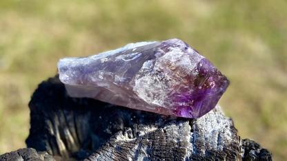 Dragon Tooth Amethyst and Ametrine Quartz Phantom Natural Point
