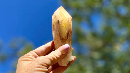 Dragon Tooth Citrine Quartz Natural Point