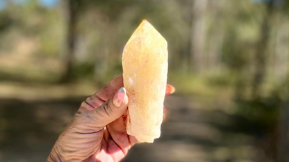 Dragon Tooth Citrine Quartz Natural Point