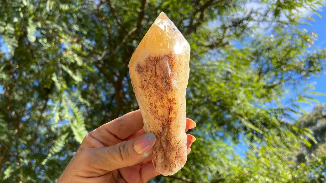 Dragon Tooth Citrine Quartz Natural Point