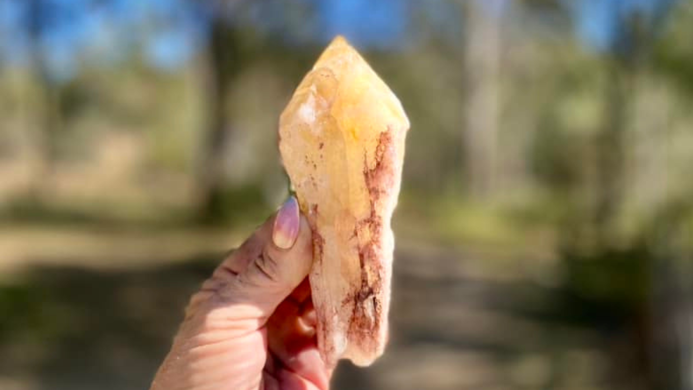 Dragon Tooth Citrine Quartz Natural Point