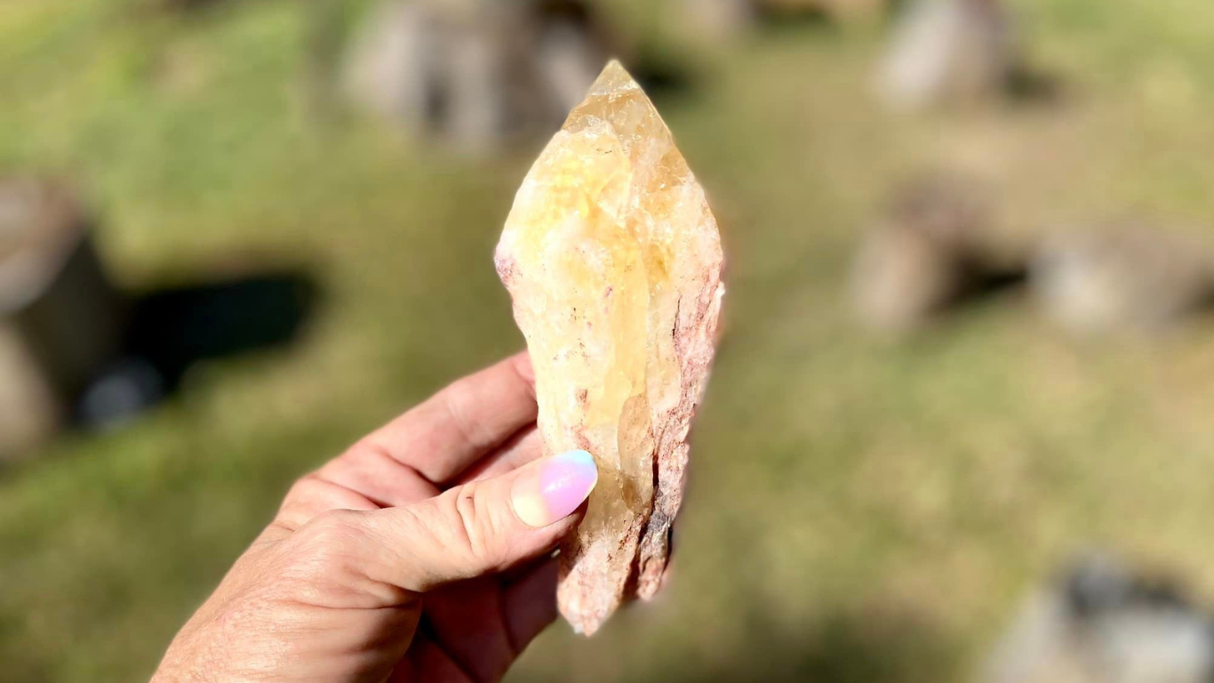 Dragon Tooth Citrine Quartz Natural Point