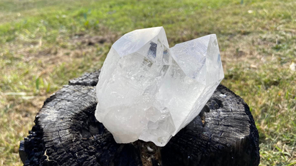 Pleiadian Seed Tantric Twin with Key Hole, Rainbows and Record Keepers AAA+ Grade