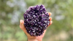 Amethyst Pineapple Cluster X Grade