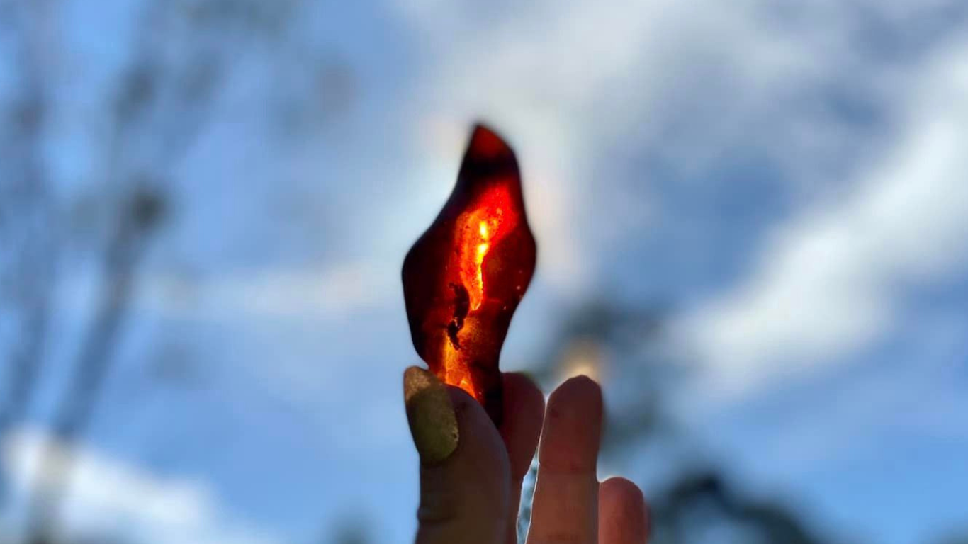 Baltic Red Fire Amber with Bugs