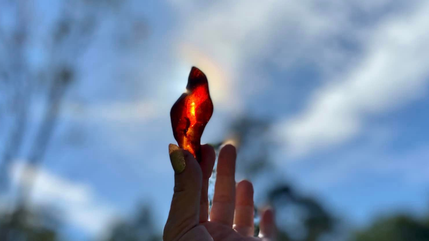 Baltic Red Fire Amber with Bugs