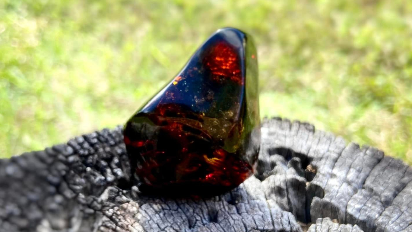 Baltic Red Fire Amber with Bugs