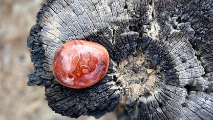 Madagascar Agate