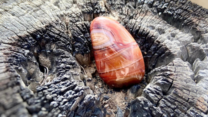 Madagascar Agate