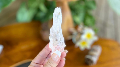 Lemurian Seed Root Wand