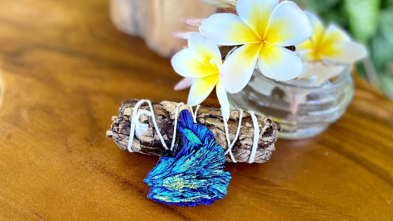 Black Kyanite with Aqua Angel Aura Wing