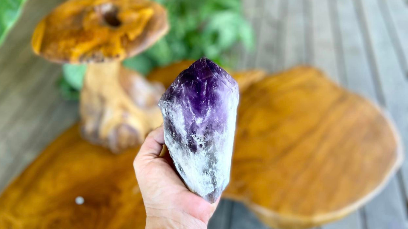 Dragon Tooth Amethyst Natural Point