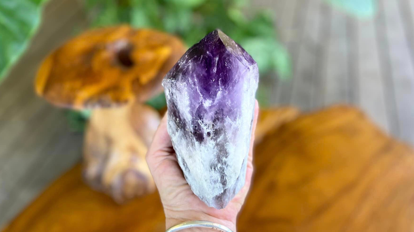 Dragon Tooth Amethyst Natural Point