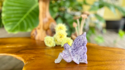 Fairy Lepidolite