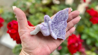 Fairy Lepidolite