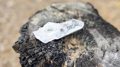 Lemurian Seed Root Wand
