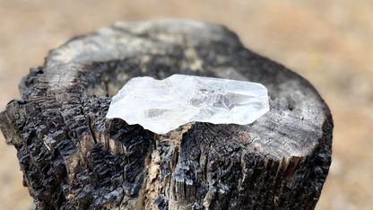 Lemurian Seed Root Wand