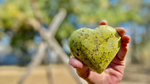 Green Opal Heart