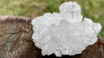 Lemurian Seed Cluster with Rainbows and Record Keepers