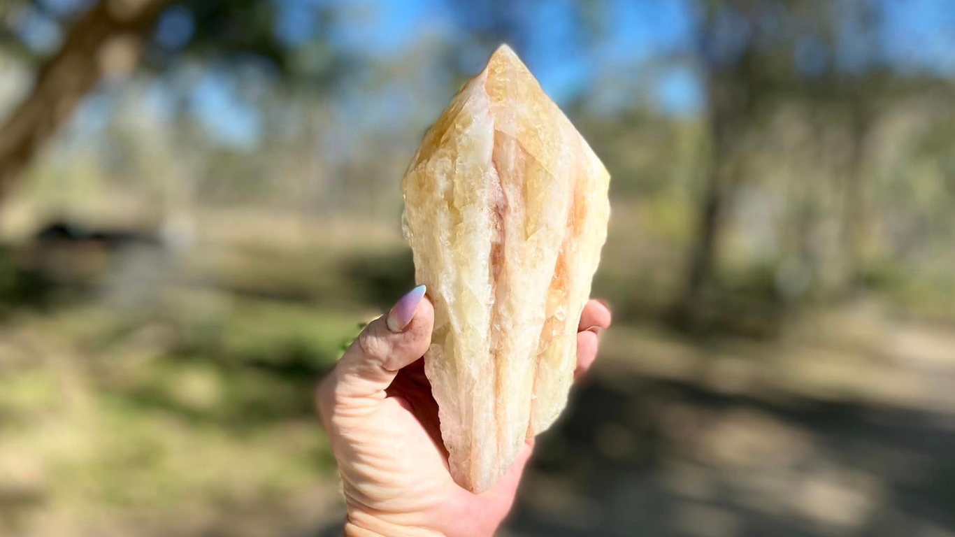 Dragon Tooth Citrine Quartz Natural Point