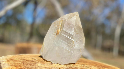 Golden Healer Pleiadian Starbary Master Record Keeper Natural Point