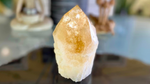 Citrine Cut Base Polished Point Generator