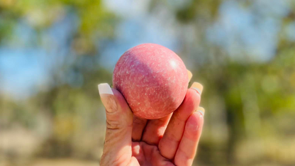 Thulite Sphere