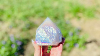 Angel Aura Rose Quartz Generator