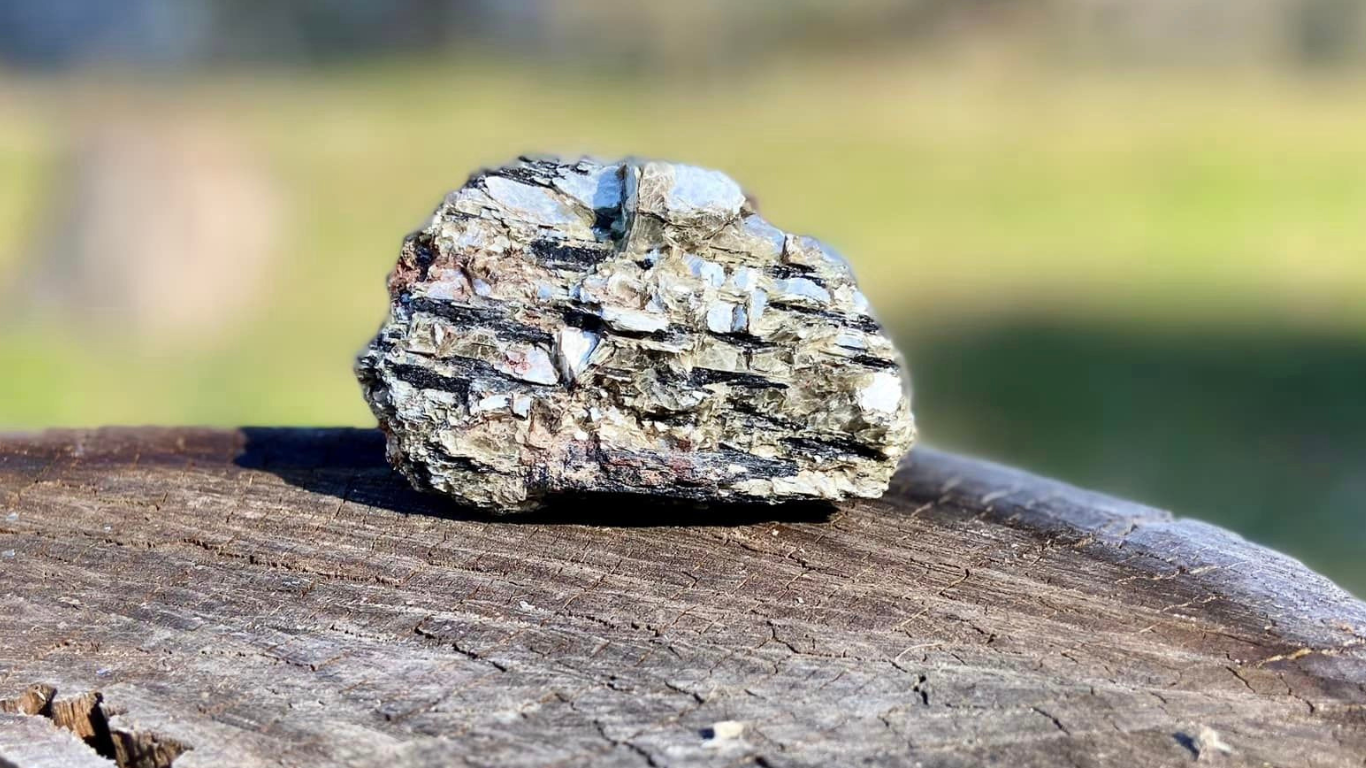 Golden Mica with Black Tourmaline