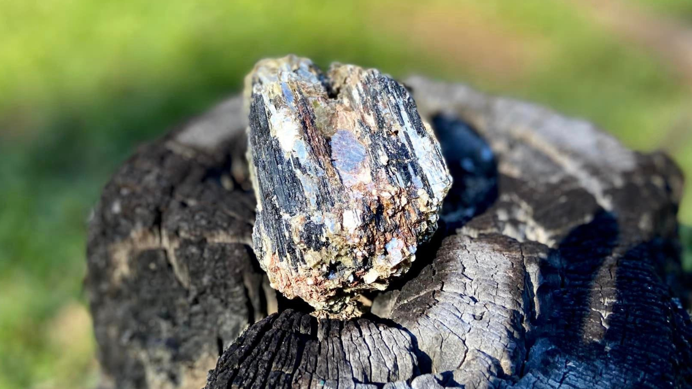 Golden Mica with Black Tourmaline