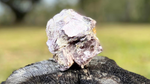 Lepidolite Rough