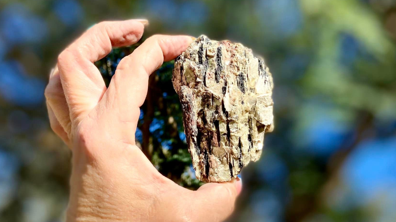 Golden Mica with Black Tourmaline