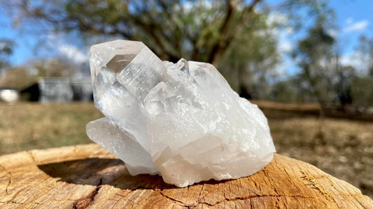 Lemurian Seed, Fairy Dust and Barnacle Record Keeper Quartz Cluster