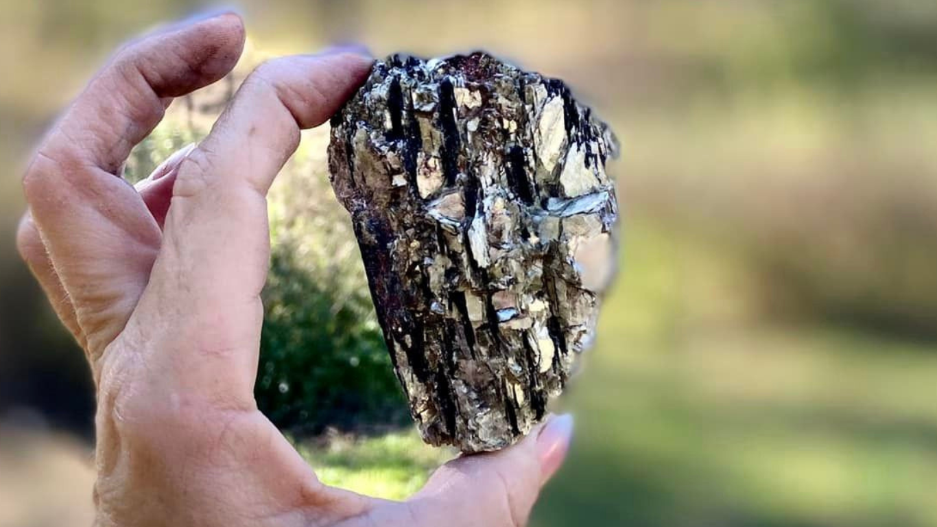 Golden Mica with Black Tourmaline