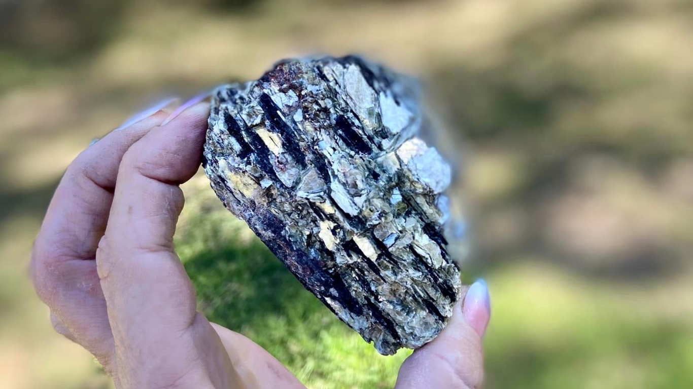 Golden Mica with Black Tourmaline