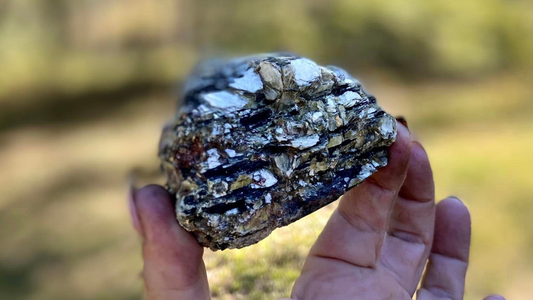 Golden Mica with Black Tourmaline