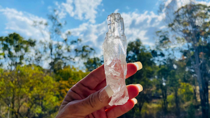 Lemurian Seed Root Wand