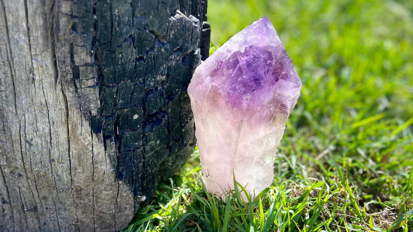 Dragon Tooth Amethyst and Ametrine Quartz Phantom Natural Point