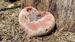 Pink Amethyst Heart