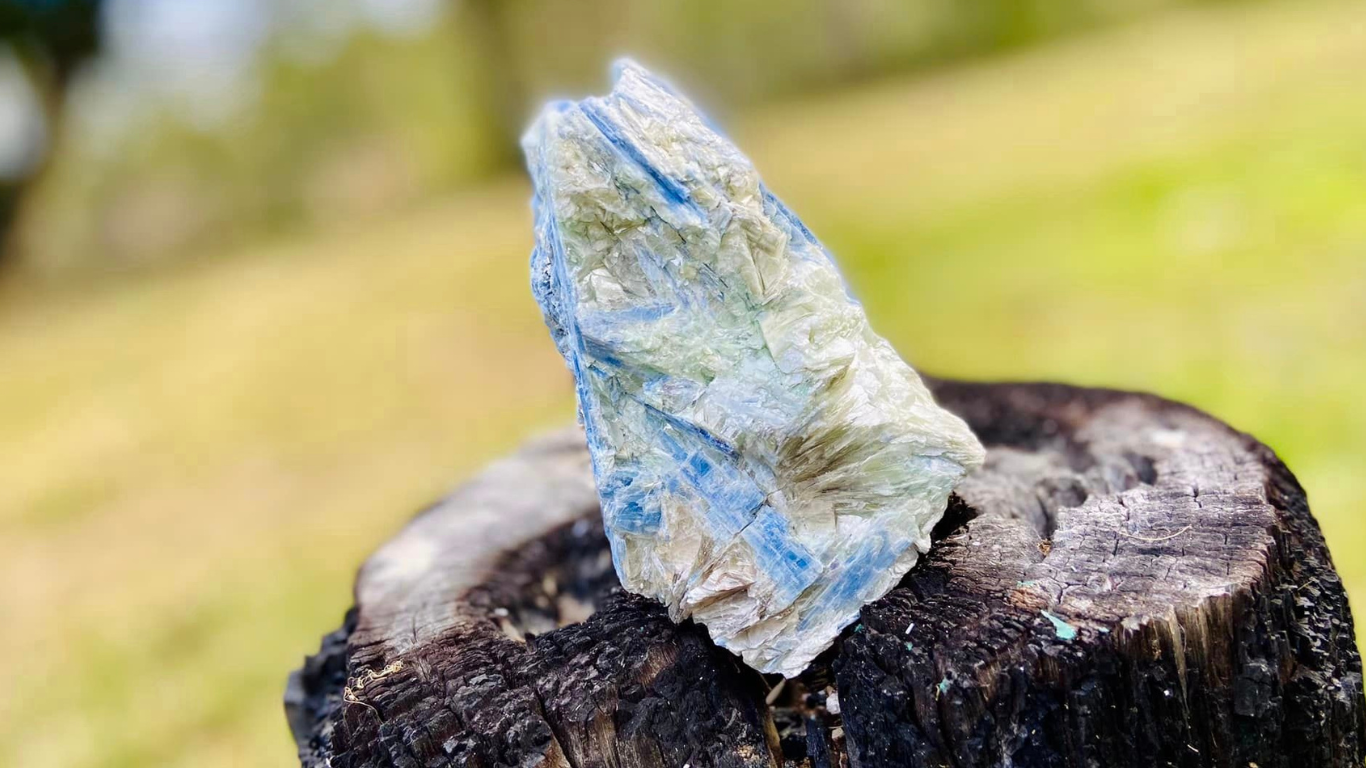 Blue and Green Kyanite Blade Cluster with Fuchsite