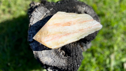 Dragon Tooth Citrine Quartz Natural Point