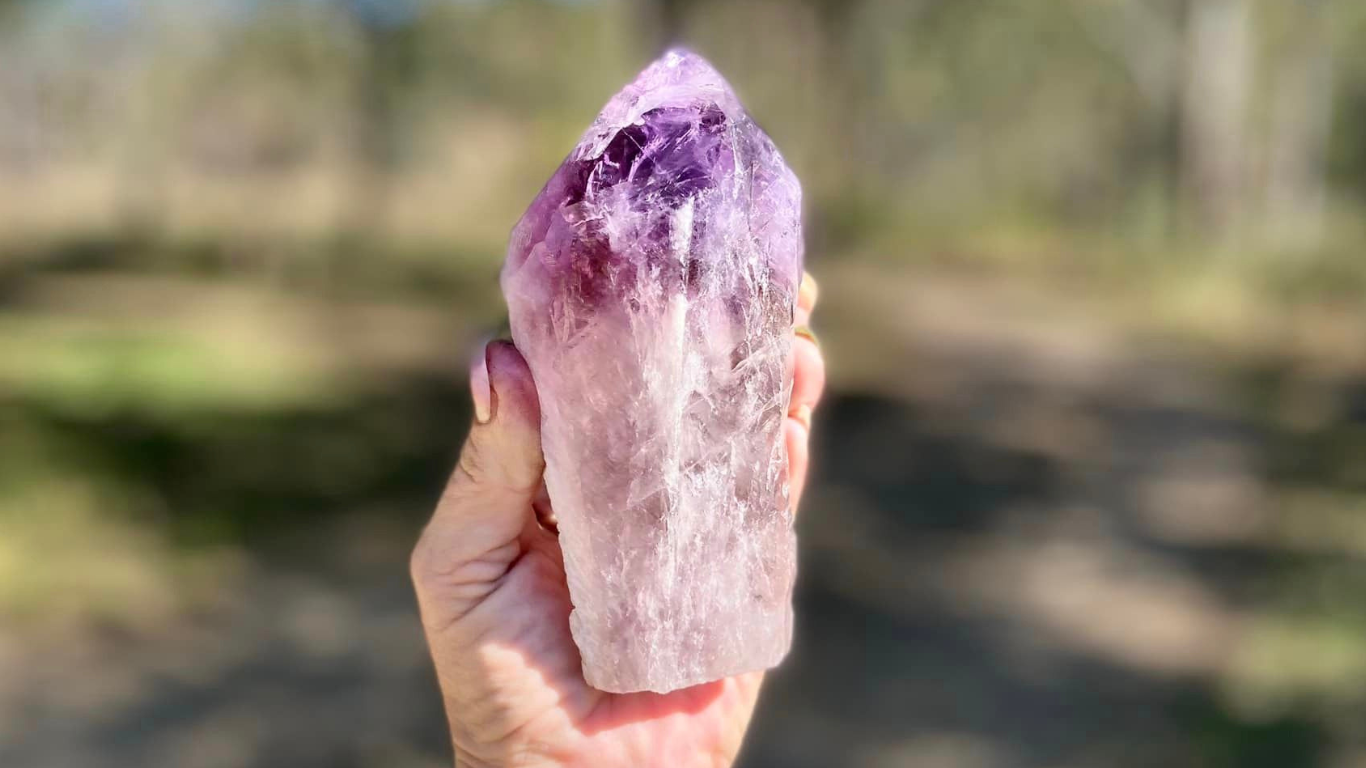 Dragon Tooth Amethyst and Ametrine Quartz Phantom Natural Point