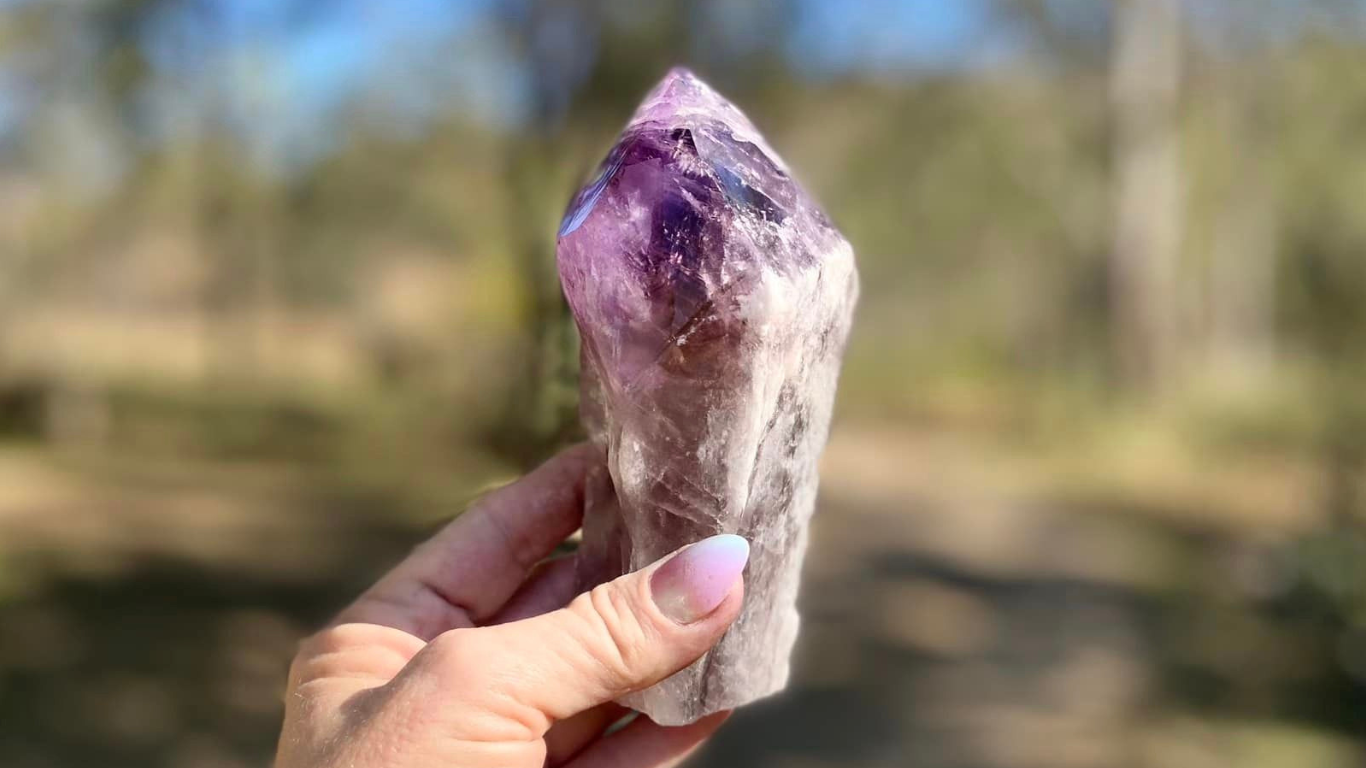 Dragon Tooth Amethyst and Ametrine Quartz Phantom Natural Point