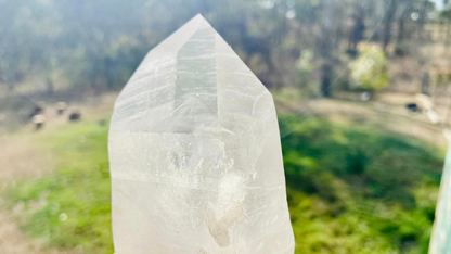 Black Phantom Lemurian Record Keeper
