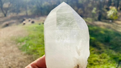 Black Phantom Lemurian Record Keeper