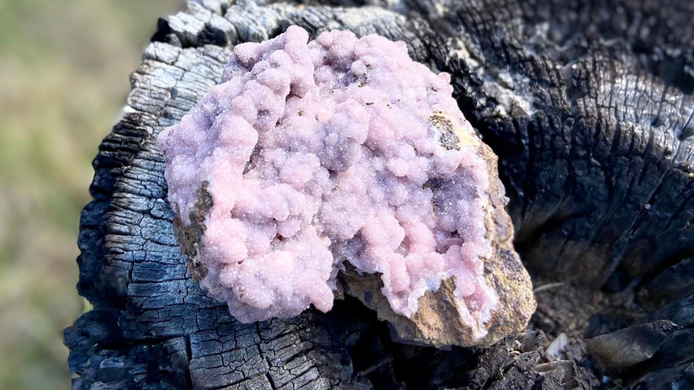 Rhodochrisite Cluster on Matrix